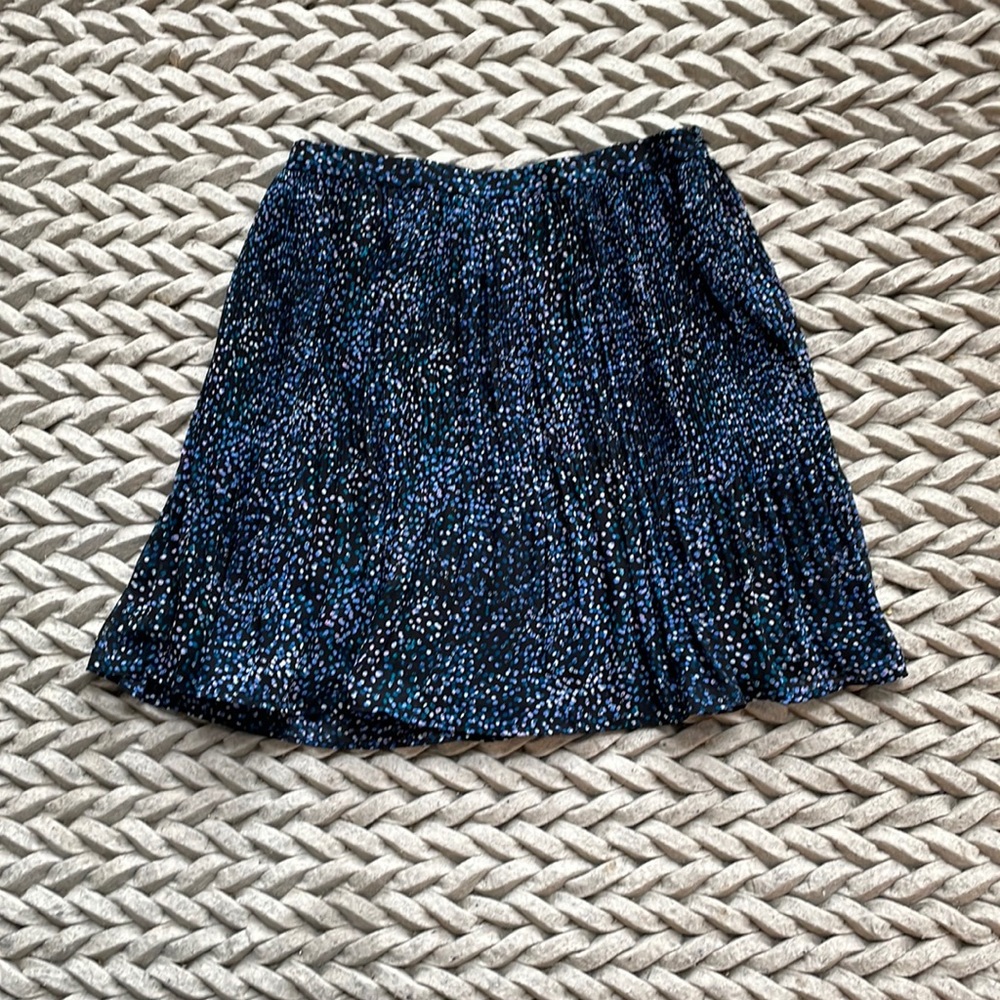NWOT Delicate Pleated Mini Skirt